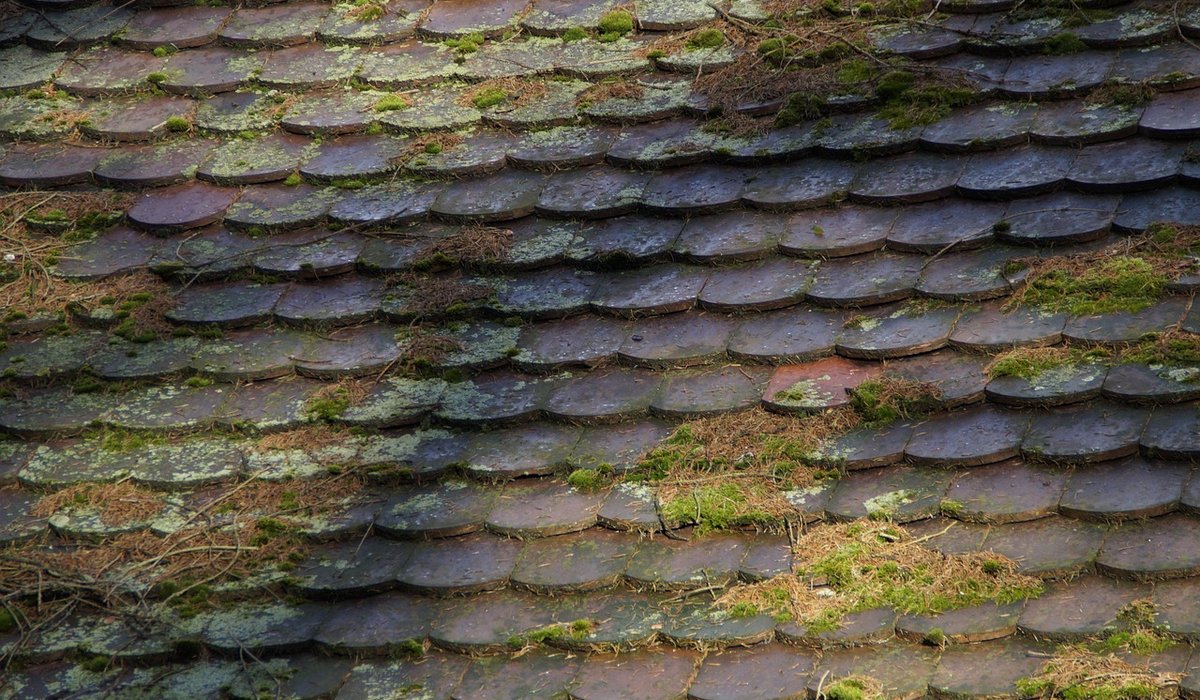 How to Add a Dormer Window Without Losing Character